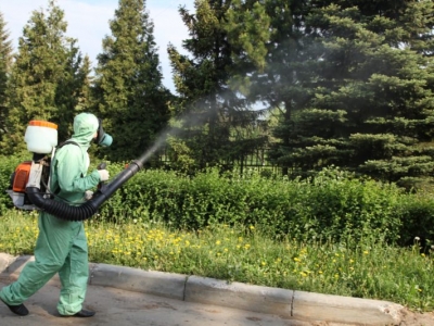 Уничтожение комаров в Дзержинском